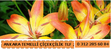Temelli ankara �i�ek�ilik �i�ek sat���