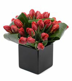 ankara �i�ek�i Temelli ucuz �i�ek g�nder  mika yada cam Vazo i�erisinde kalite lale