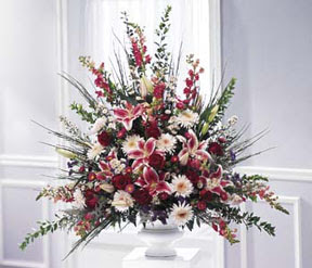 Temelli Ankara �i�ek g�nder uluslararas� �i�ek g�nderme  kazablanka sebboy gerbera