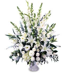 Ankara Temelli �i�ek yolla , �i�ek g�nder , �i�ek�i   saf temiz sevginin g�c� �i�ek modeli