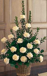 Temelli �i�ek g�nderme sitemiz g�venlidir  Beyaz karanfillerden sepet
