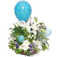 balon ve �i�eklerle tanzim Temelli ankara �i�ekleri g�venli kaliteli h�zl� �i�ek 