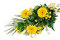 sari gerbera ve sari �i�ek  Temelli �i�ek sipari�i vermek 