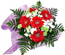 karisik gerbera ve kir �i�egi  Temelli Ankara �i�ek g�nder uluslararas� �i�ek g�nderme 