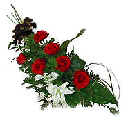 7 adet g�l ve kazablanka  Temelli Ankara hediye sevgilime hediye �i�ek 