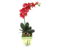 Yapay Phalonepsis Pembe  Ankara Temelli �i�ek sipari�i sitesi 