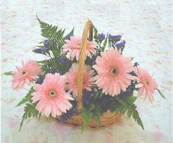 gerbera �i�eklerinde sepet  Temelli cicek , cicekci 