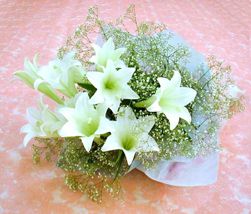 lilyum demeti 3 adet lilyum Temelli �i�ek�i ma�azas� 