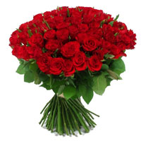 101 adet kirmizi g�l sade Temelli cicek , cicekci 