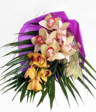 Temelli �i�ek g�nderme sitemiz g�venlidir  1 adet dal orkide buket halinde sunulmakta