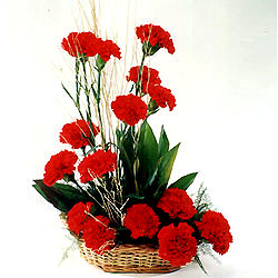 Temelli �i�ek g�nderme sitemiz g�venlidir  sepet i�erisinde 17 adet karanfil tanzimi