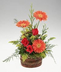 Temelli �i�ek g�nderme sitemiz g�venlidir  sepet i�erisinde 3 g�l ve 3 gerbera tanzimi