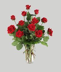 Temelli �i�ek g�nderme sitemiz g�venlidir  11 adet kirmizi g�l vazo halinde