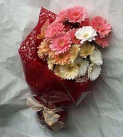19 adet karisik gerbera buketi Temelli ankara �nternetten �i�ek sipari�i 