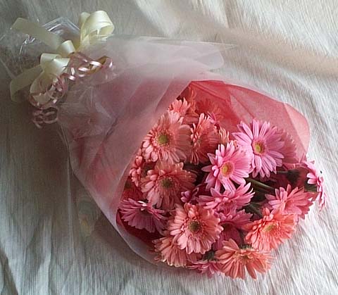 17 adet gerbera buketi Temelli ankara �nternetten �i�ek sipari�i 