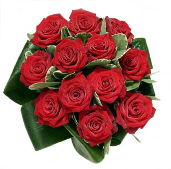 12 adet en sade g�l buketi Temelli ankara �nternetten �i�ek sipari�i 