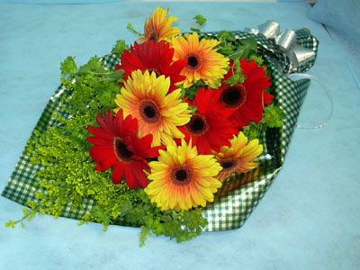 t�l i�erisinde gerbera �i�ekleri 11 adet Temelli ankara �nternetten �i�ek sipari�i 