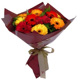 Ankara Temelli kaliteli taze ve ucuz �i�ekler  13 ADET KARISIK GERBERA BUKETI
