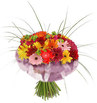 karisik gerbera demeti 15 adet gerberalardan �i�ek�i Temelli �i�ek servisi , �i�ek�i adresleri 