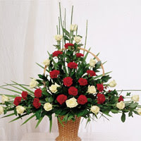 Temelli ankara �i�ek ma�azas� , �i�ek�i adresleri  15 adet karisik kirmizi ve beyaz g�l sepeti