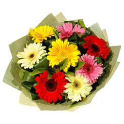9 adet karisik gerbera demeti Ankara Temelli hediye �i�ek yolla 