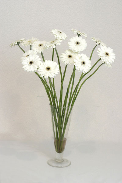 Ankara Temelli hediye �i�ek yolla  cam vazo i�erisinde 17 adet sade gerbera