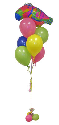Temelli cicek , cicekci  Sevdiklerinize 17 adet u�an balon demeti yollayin.