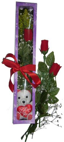 Temelli ankara �i�ek�i telefonlar� yurti�i ve yurtd��� �i�ek sipari�i  3 adet canli g�l ve oyuncak ayicik