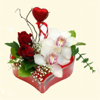 �i�ek�i Temelli ankara �i�ek sat���  1 kandil orkide 5 adet kirmizi g�l mika kalp