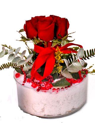 Temelli �i�ek sat��� , �i�ek�i , �i�ek�ilik  SEVMEK G�ZEL DIYENLERE 7 ADET G�L