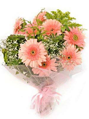 Ankara Temelli 14 �ubat sevgililer g�n� �i�ek  11 adet gerbera �i�egi buketi