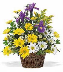 Temelli �i�ek sat��� , �i�ek�i , �i�ek�ilik  �i�ek klasik kir sepeti sevenlere