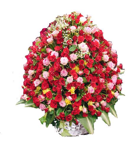 ankara �i�ek�i Temelli ucuz �i�ek g�nder  365 g�n 365 g�ne �zel g�l sepeti
