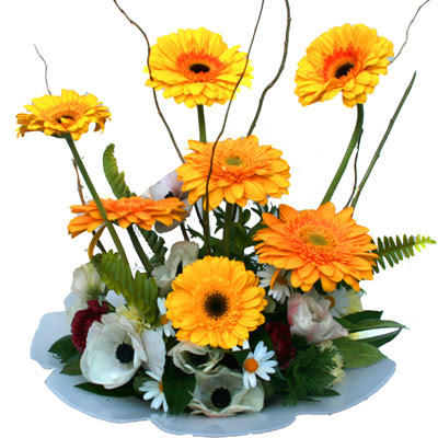 camda gerbera ve mis kokulu kir �i�ekleri Temelli Ankara �i�ek g�nder uluslararas� �i�ek g�nderme 