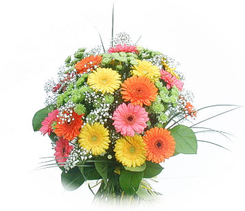 13 adet gerbera �i�egi buketi Ankara Temelli �i�ek yolla , �i�ek g�nder , �i�ek�i  
