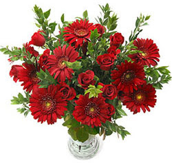 5 adet kirmizi g�l 5 adet gerbera aranjmani Temelli �i�ek online �i�ek sipari�i 