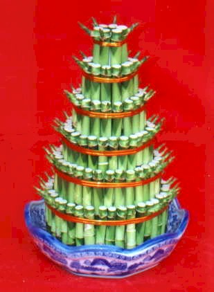 Lucky Bamboo sans melegi �i�egi Temelli ankara �i�ekleri g�venli kaliteli h�zl� �i�ek 