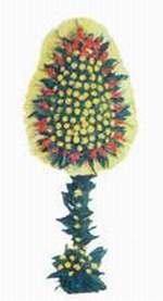 Temelli cicek , cicekci  d�g�n a�ilis �i�ekleri Ankara Temelli �i�ek yolla , �i�ek g�nder , �i�ek�i  