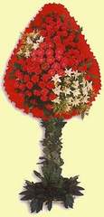 Ankara Temelli cicekciler , cicek siparisi  d�g�n a�ilis �i�ekleri Temelli �i�ek sat��� , �i�ek�i , �i�ek�ilik 