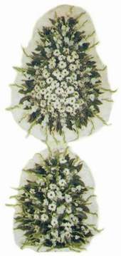 Ankara Temelli �i�ek sat��� online �i�ek�i , �i�ek sipari�i  d�g�n a�ilis �i�ekleri nikah �i�ekleri Ankara Temelli �i�ek sipari�i sitesi 