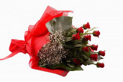 Temelli ankara �i�ek ma�azas� , �i�ek�i adresleri  11 adet kirmizi g�l buketi �i�ek�i