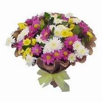 Temelli Ankara �i�ek g�nder uluslararas� �i�ek g�nderme  Mevsim kir �i�egi demeti 