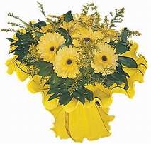 �i�ek�i Temelli �i�ek servisi , �i�ek�i adresleri  9 adet sari g�zel gerbera