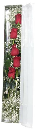 Temelli ankara �i�ek ma�azas� , �i�ek�i adresleri   5 adet g�lden kutu g�ller