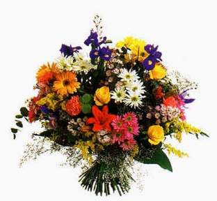 Temelli ankara �i�ek ma�azas� , �i�ek�i adresleri  T�m �i�eklerden mevsim buketi