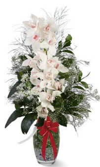 Temelli ankara �i�ek ma�azas� , �i�ek�i adresleri  cam i�erisinde 1 dal orkide �i�egi