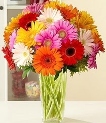 ankara �i�ek�i Temelli ucuz �i�ek g�nder  15 adet gerbera �i�ek vazosu