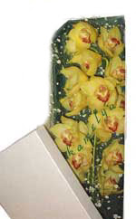 Ankara Temelli cicekciler , cicek siparisi  Kutu i�erisine dal cymbidium orkide
