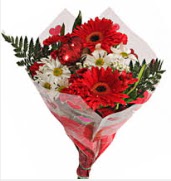 Mevsim �i�eklerinden g�rsel buket Temelli ankara �i�ekleri g�venli kaliteli h�zl� �i�ek 