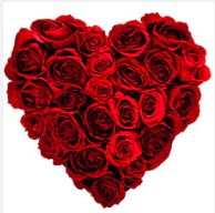 Ankara Temelli �i�ek yolla  19 adet k�rm�z� g�lden kalp tanzimi